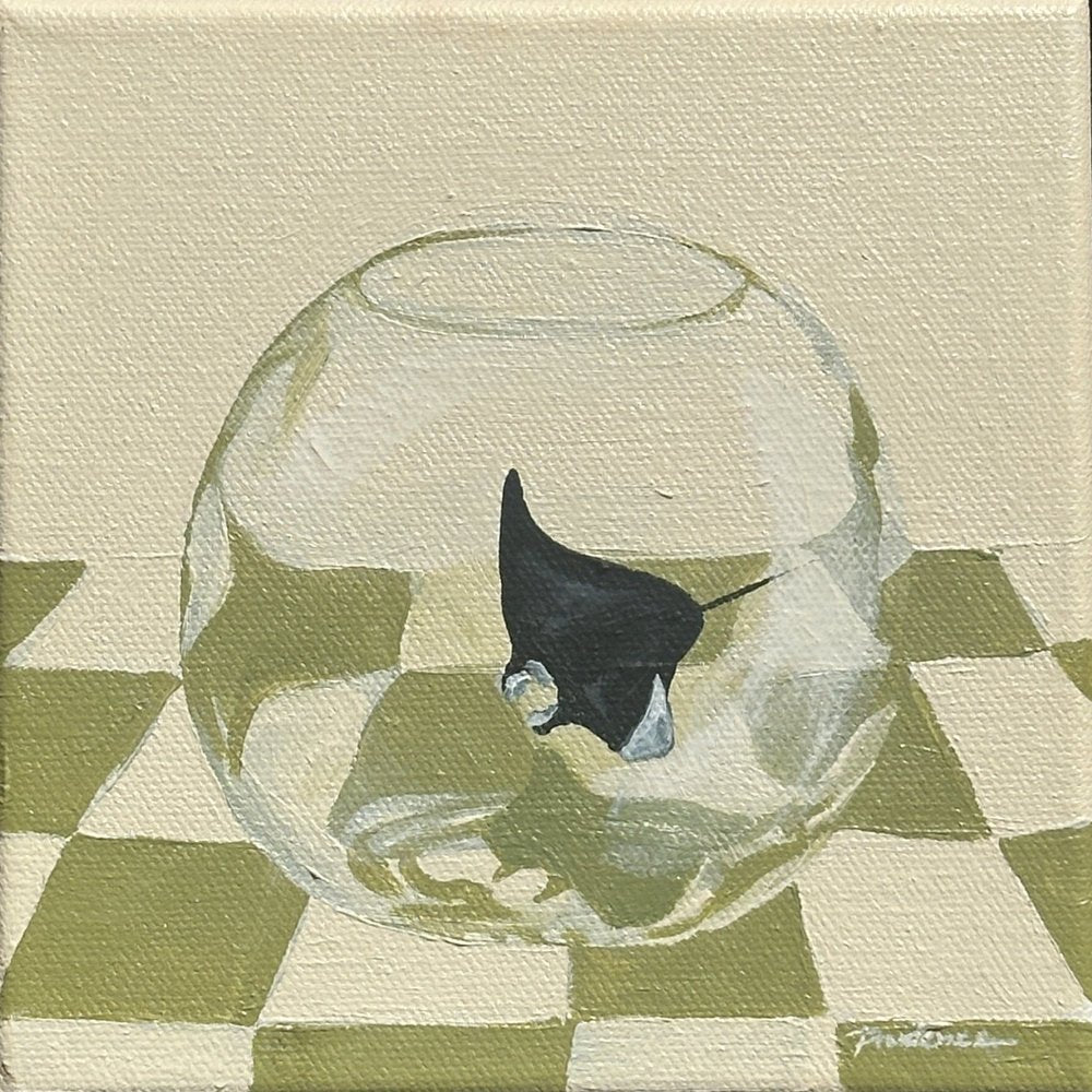 Take Me Home (Manta Rays & Checked Tablecloth)