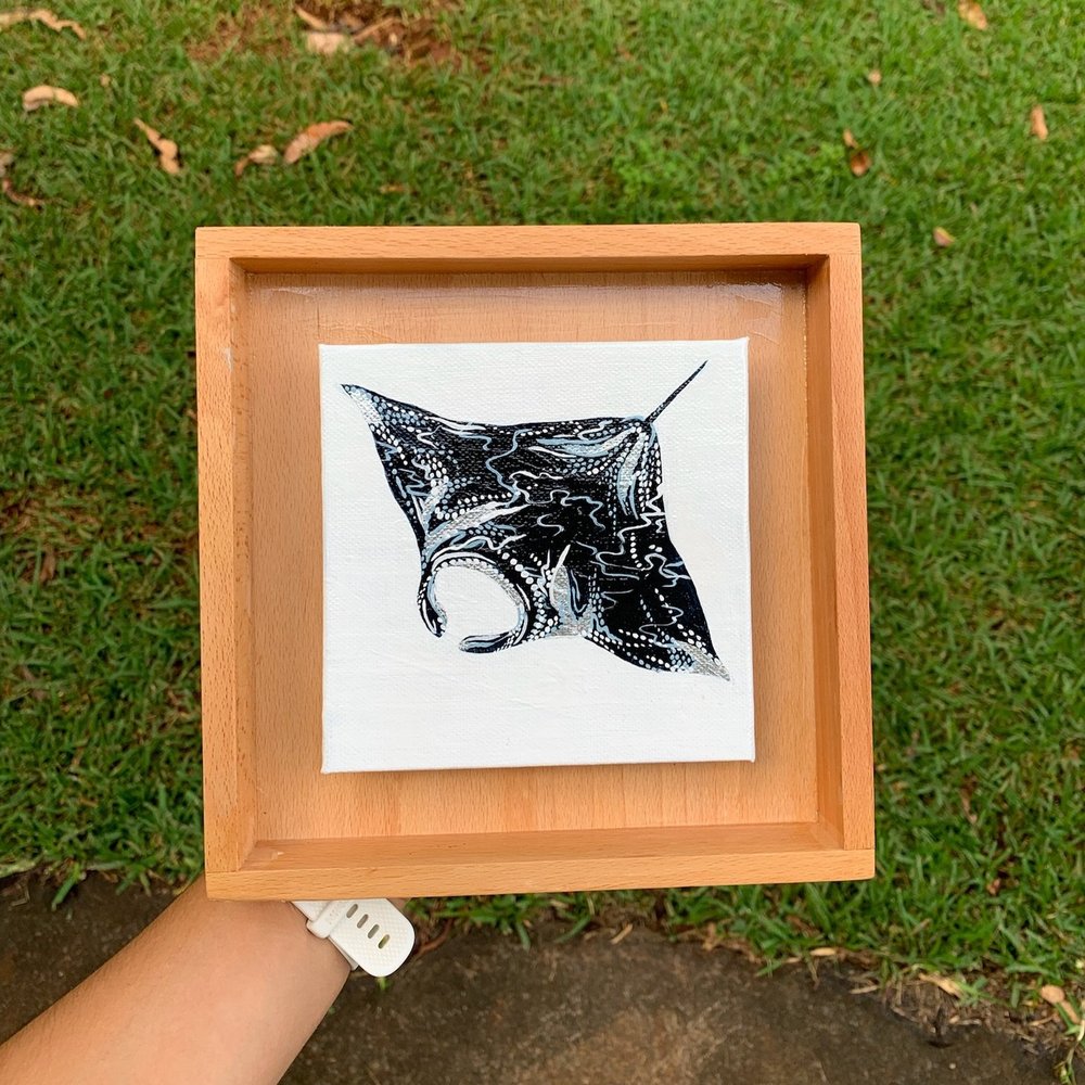 Manta