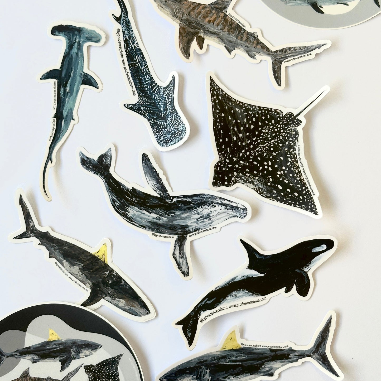 Vinyl sticker pack of 5