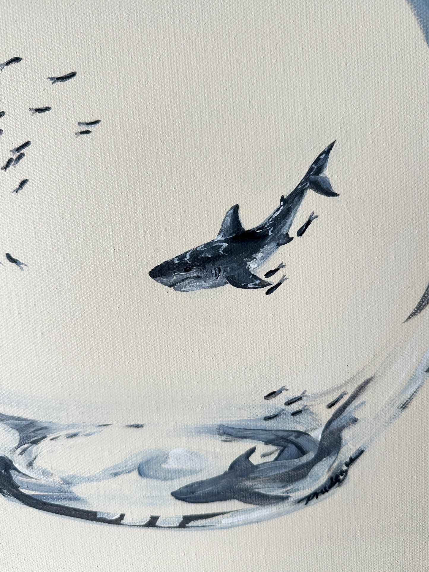 Behind Glass (Great White Shark)