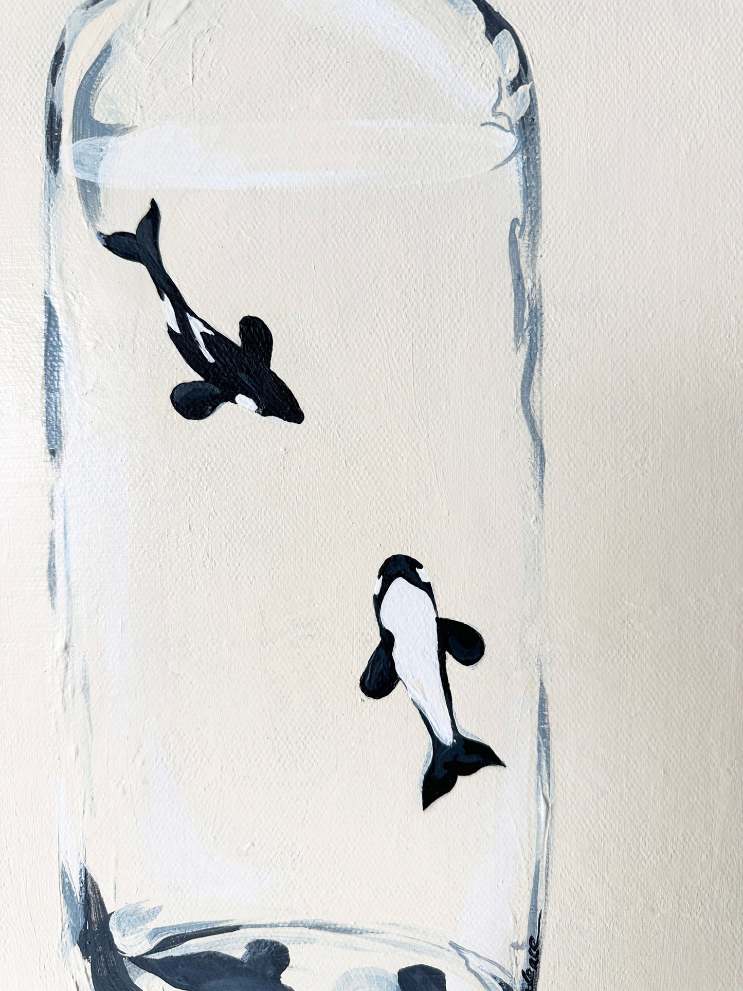 Behind Glass (Orcas in vessels)