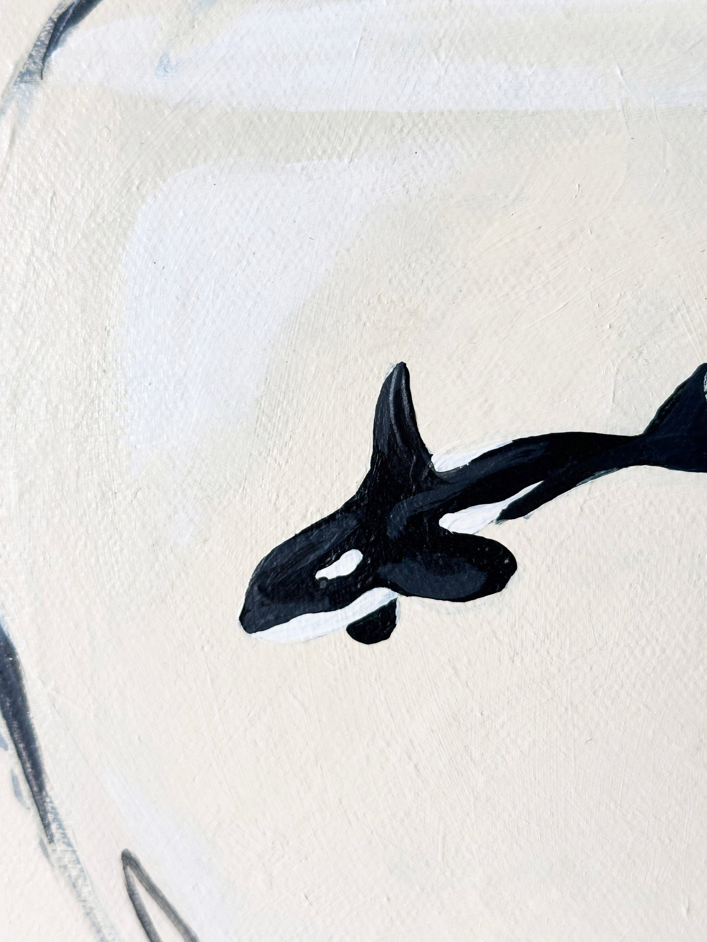 Behind Glass (Orcas in vessels)
