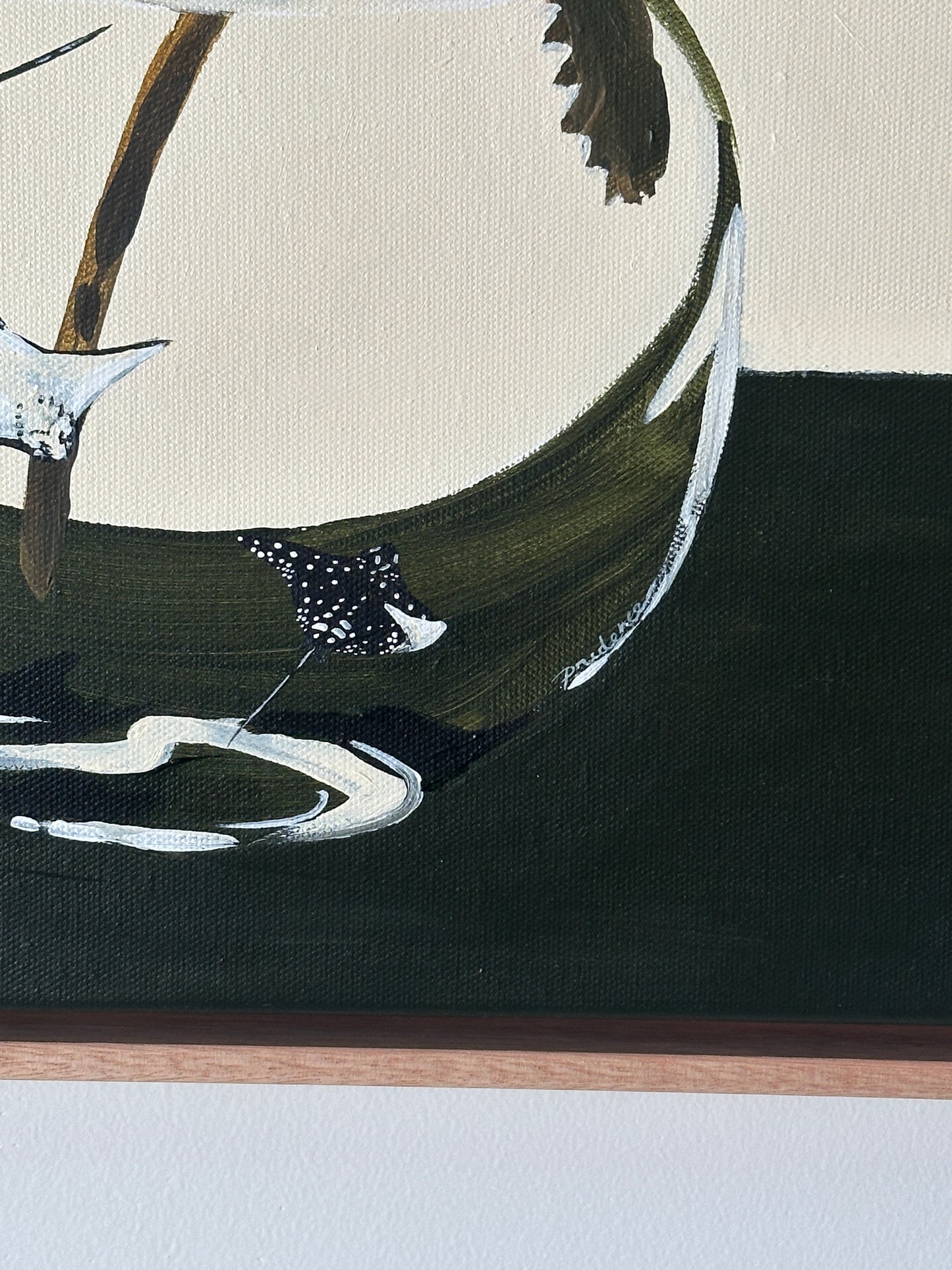 Land Meet Sea (Banksia Seedpod and Spotted Ray)