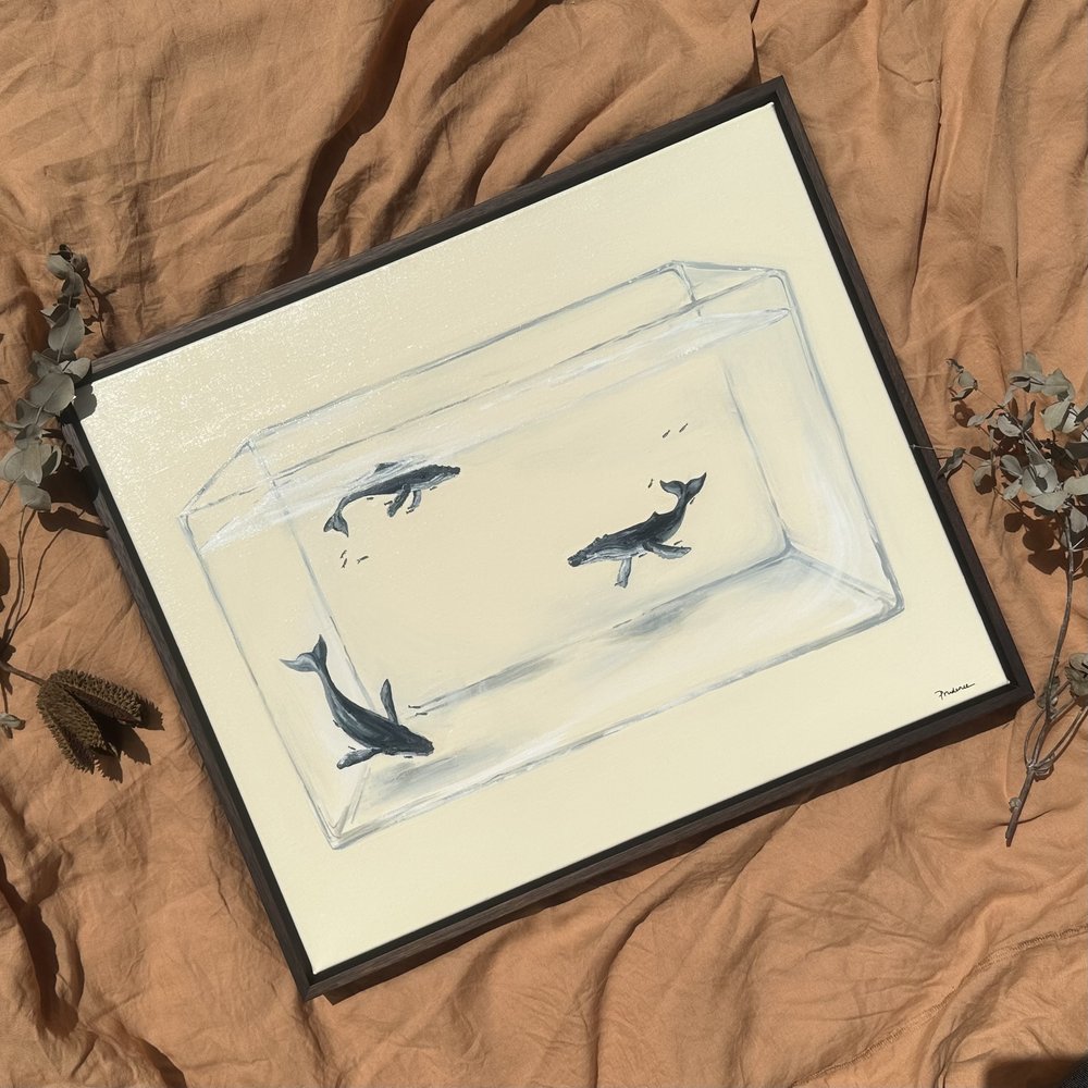 Take Me Home (Whale Tank)