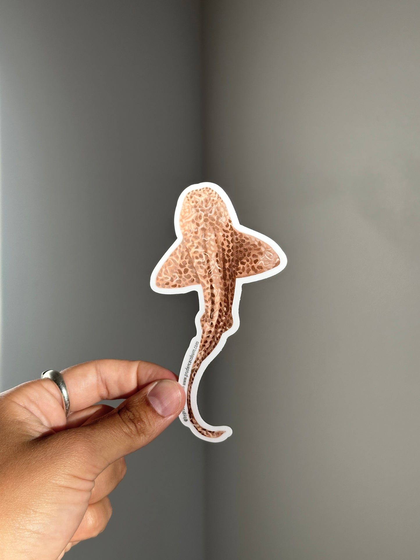 Leopard Shark Vinyl sticker