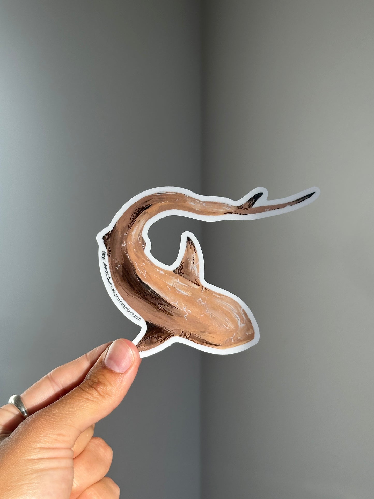 Blacktip shark Vinyl sticker