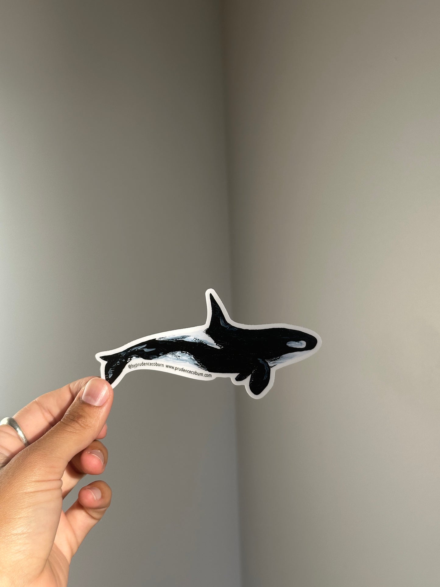 Orca Vinyl Sticker