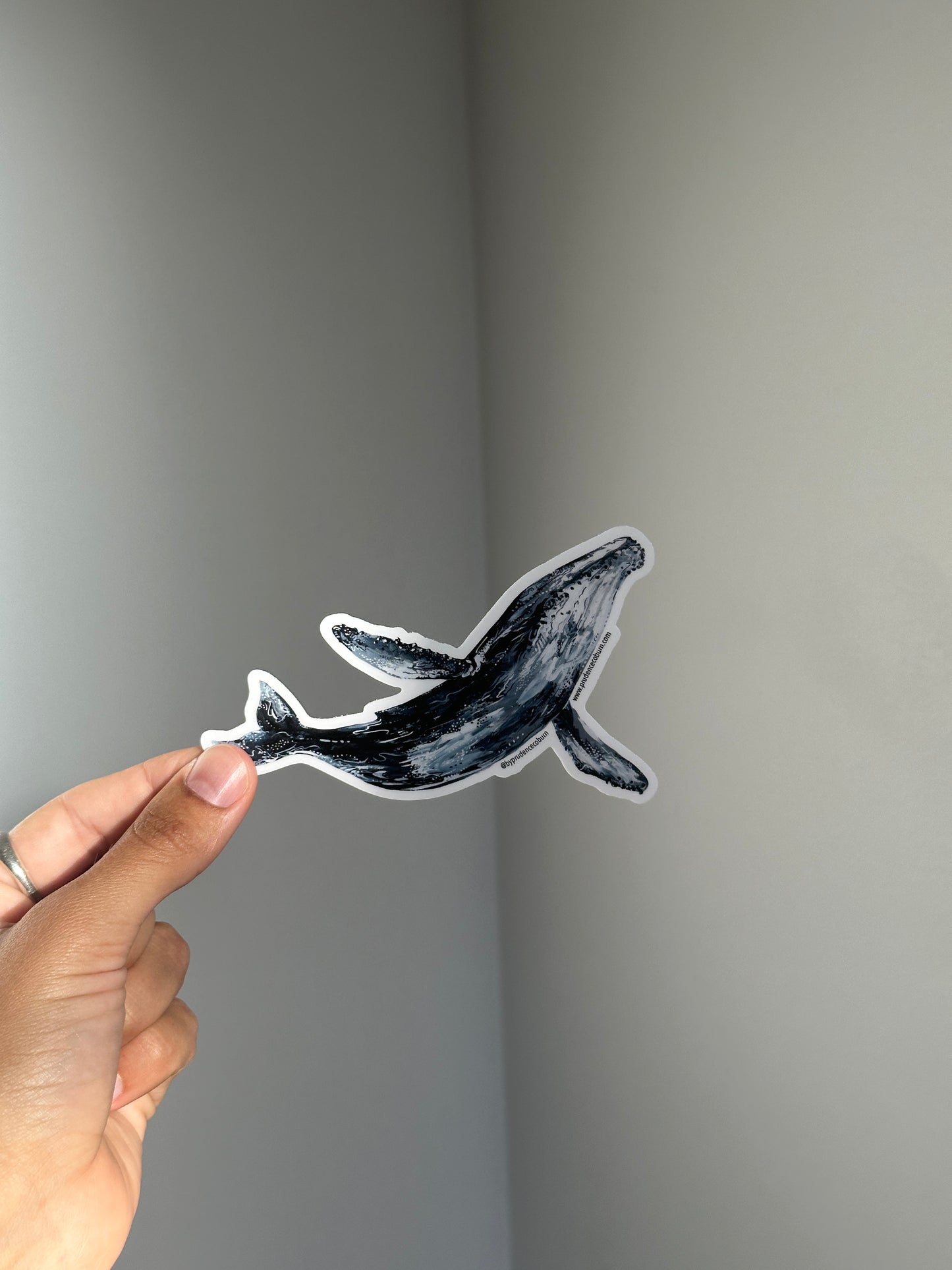 Humpback Vinyl Sticker