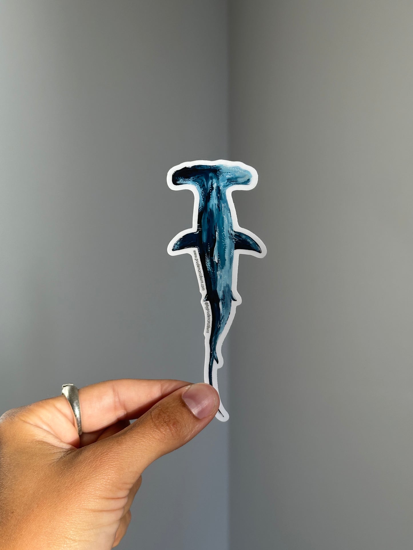 Hammerhead (Overhead) Vinyl Sticker