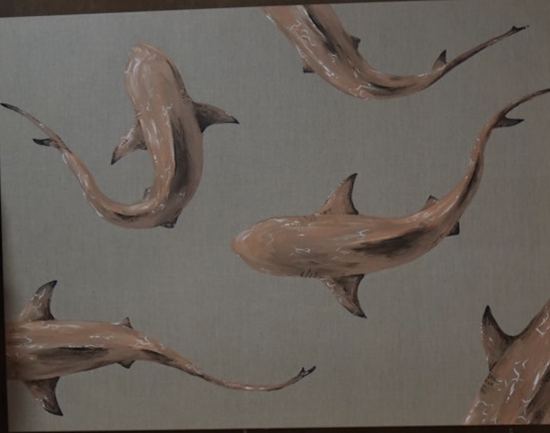 Play In The Shallows