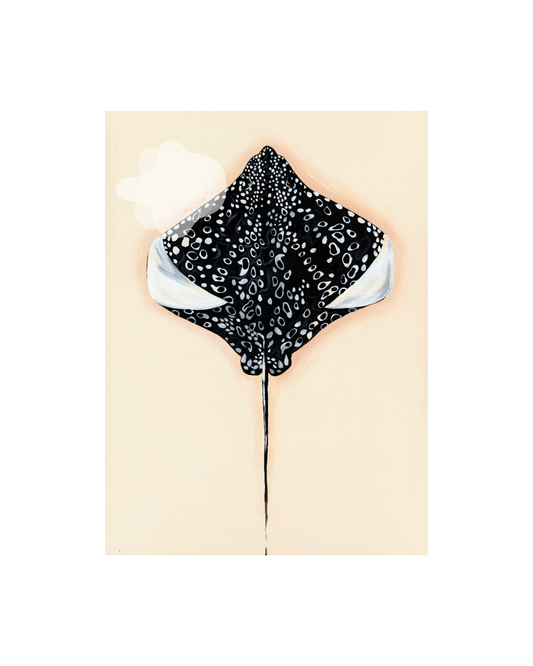 'Exploration of Rays #2' Art Print