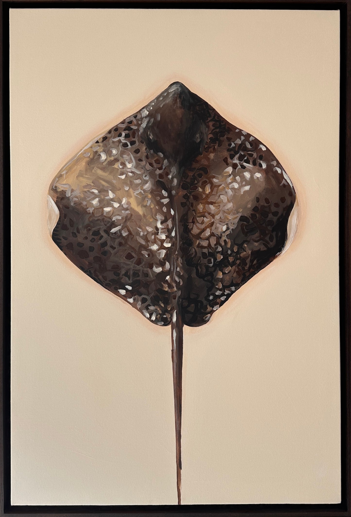Exploration of Rays #6
