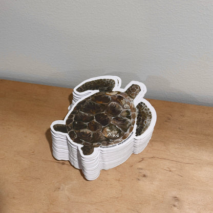 Green Turtle Vinyl sticker