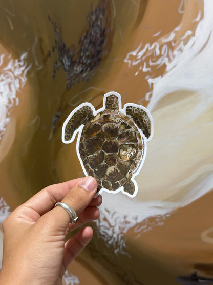 Green Turtle Vinyl sticker