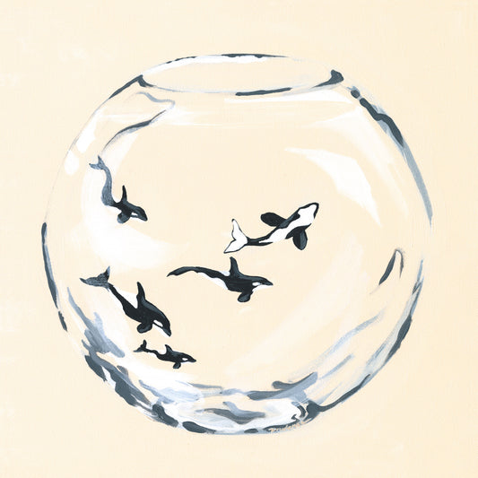 'Behind Glass (Orca Pod)' Art Print