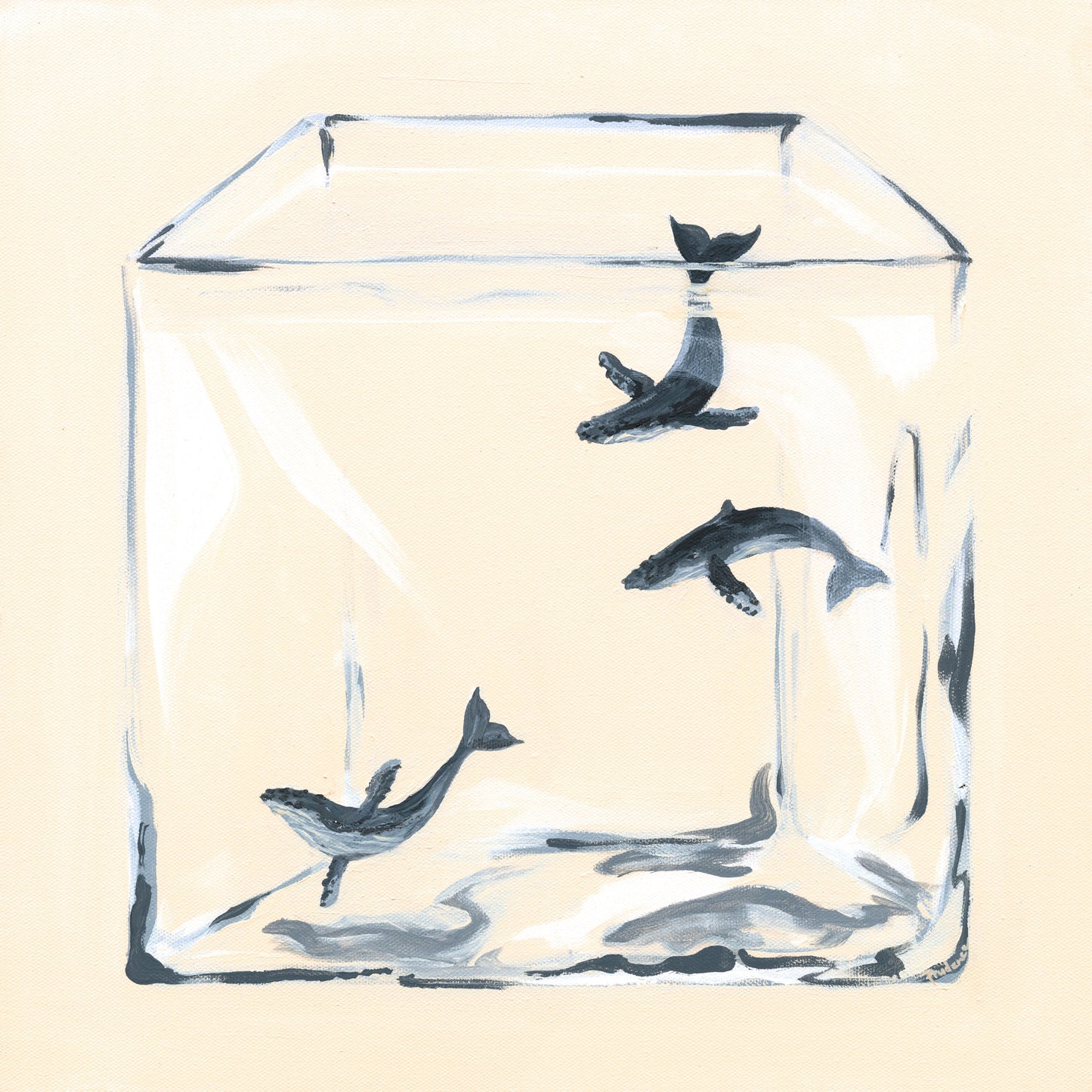'Behind Glass (Humpback Whale Pod)'  Canvas Print