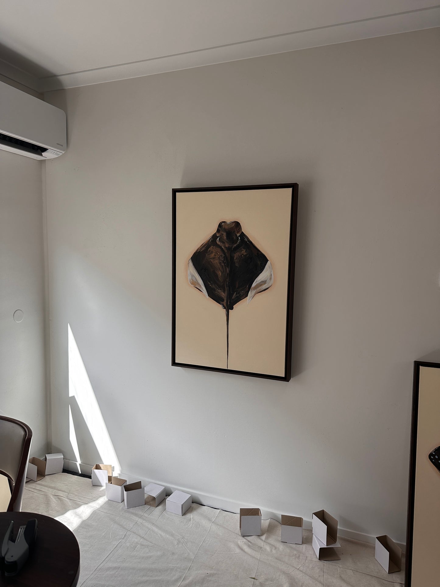Exploration of Rays #1