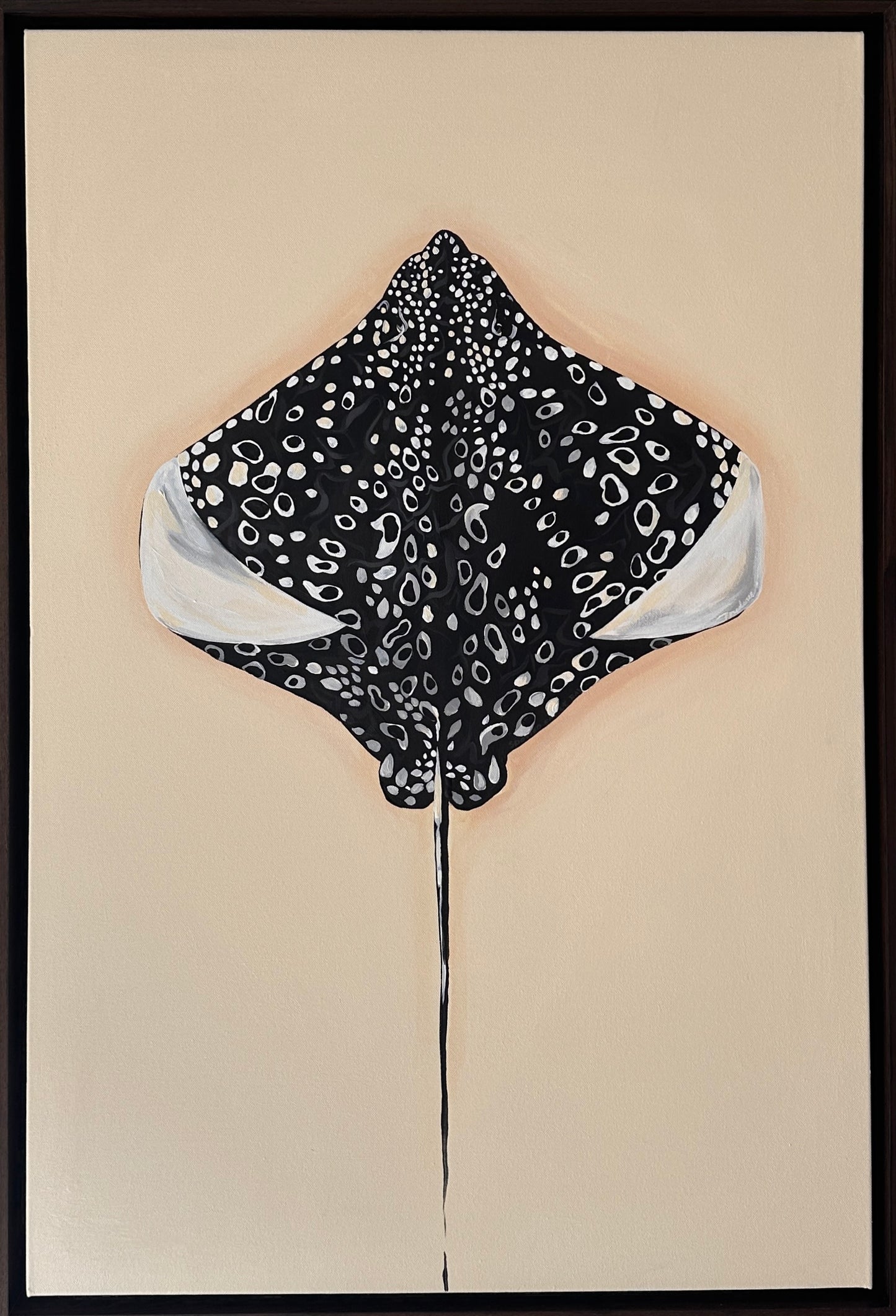 Exploration of Rays #2