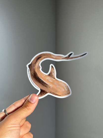 Blacktip shark Vinyl sticker