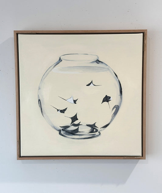 Behind Glass (Spotted rays III)