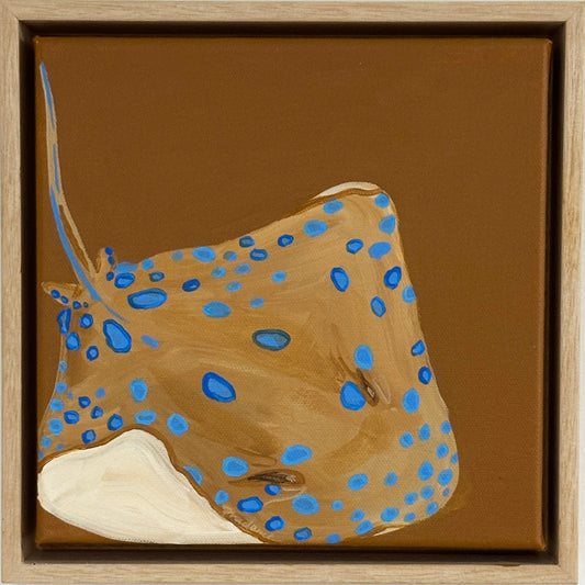 Blue Ribbontail Ray Confined