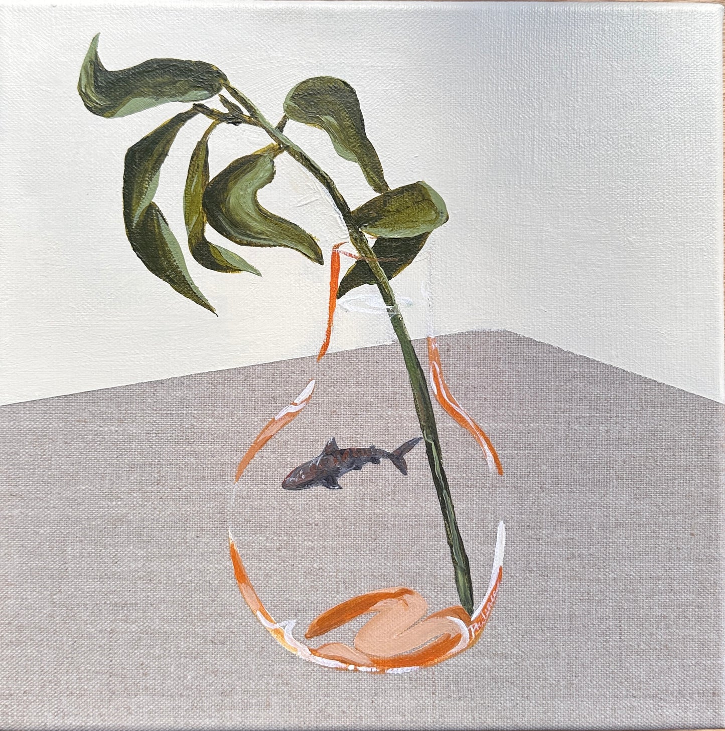 Raw (Eucalyptus & Tiger Shark)