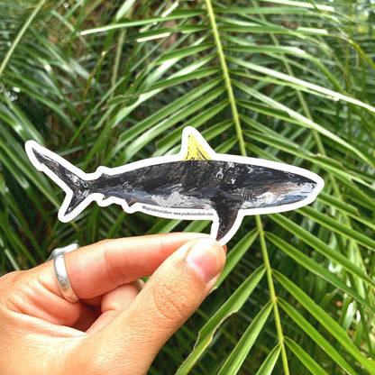 Bull Shark Vinyl Sticker