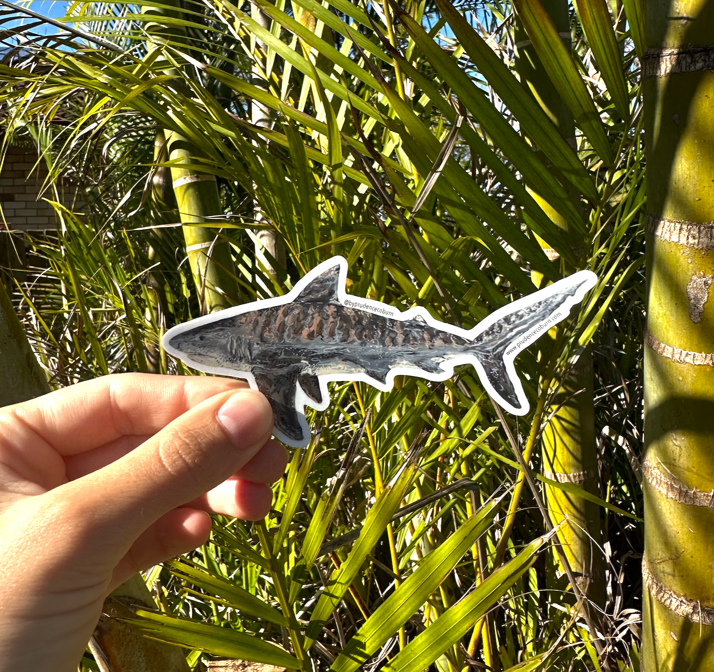 Tiger Shark Vinyl Sticker